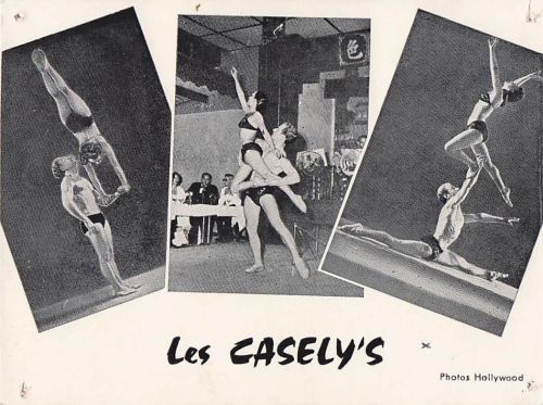 ALLIER - Vichy - Bellerive - 5, rue Ramin - Les Casely's