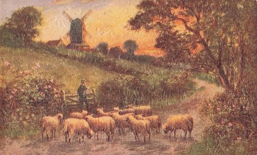 Landschaft mit Schafherde"
