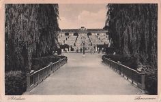Weinberg-Anlage vor dem Schloss Sanssouci in Potsdam.