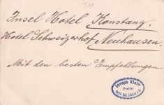 Alte Litho Lindau Bodensee - Hotel Bayerischer Hof - W. Spaeth