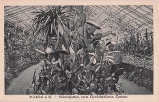 Frankfurt a. M. - Palmengarten, neue Gewächshäuser, Cacteen