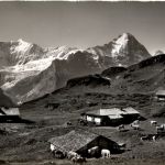 Grindelwald - Alp Bachläger