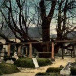 Annaberg - Auferstehungslinde