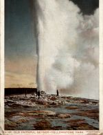 Yellowstone Park - Old faithful Geyser