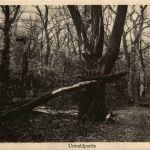 Zetel in Oldenburg - Kurhaus am Urwald