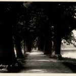 Waldenburg - Eichenallee
