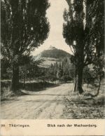 Blick nach der Wachsenburg