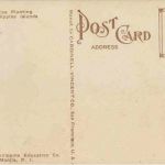 Rice Planting Philippines