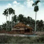 Native Home Philippines