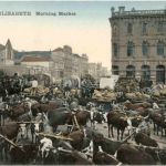 Port Elizabeth - Morning Market - South Africa
