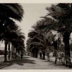 Palma de Mallorca - Paseo de Sagrera