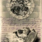 Hunde mit Kind - Prägekarte