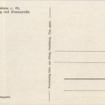 Am Rüdesheimer Schloss steht eine Linde