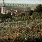 Vogelheim in Giengen an der Brenz
