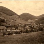 Sieber im Harz