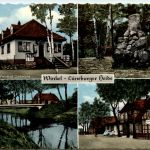 Winkel - Lüneburger Heide