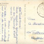 Adlersturm - Stutenhaus