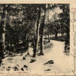 Gruss aus Schlangenbad