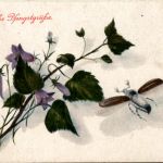 Pfingsten - Maikäfer