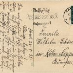 Pfingsten - Maikäfer