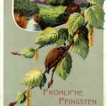 Pfingsten - Maikäfer