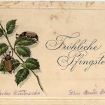 Pfingsten - Maikäfer