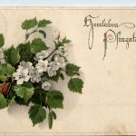 Pfingsten - Maikäfer