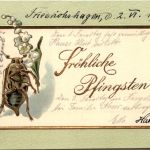 Pfingsten - Maikäfer