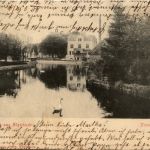 Gruss aus Buxtehude - Partie an der Viver