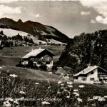 Nesselwang