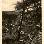 Sonneberg - Grüntal