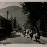 Friedrichroda - Papenstrasse mit Kuhherde