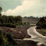 Worpswede- Baurenhäuser am Heidesaum