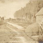 Worpswede