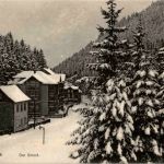 Friedrichroda - Der Grund im Winter