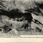 Carl Hagenbecks Tierpark Stellingen