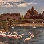Carl Hagenbecks Tierpark Stellingen