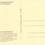 Amrum - Brütender Austernfischer