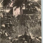 Madagascar - Nossi-Be