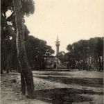 Beyrouth - Le Foret des Pins
