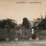 Maurice - - Jardin Botanique