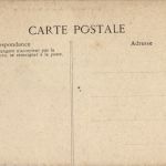 Maurice - - Jardin Botanique