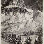 Passo Tre Croci - Cristallo