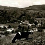 Eiterbach Odenwald