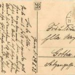 Pfingsten - Maikäfer