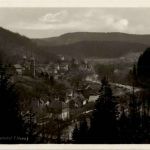 Altenbrak im Bodetal