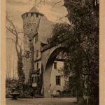 Am Schloss Fürstenau - Steinbach bei Michelstadt