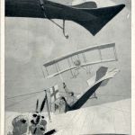 Deutsche Taube im Kampf