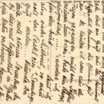 Wenn das nur gut geht