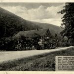 Wald-Hotel zum Paradies - Siebertal - Südharz